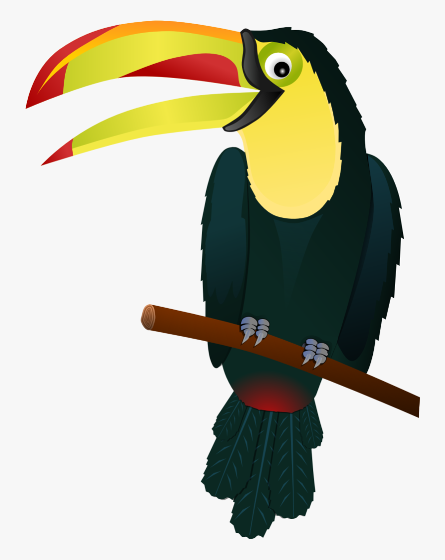 Tropical Bird Clipart At Getdrawings - Toucan Transparent Clipart, Transparent Clipart