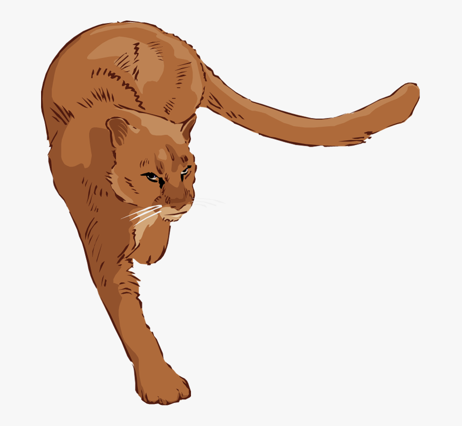 Cougar Clipart Free, Transparent Clipart