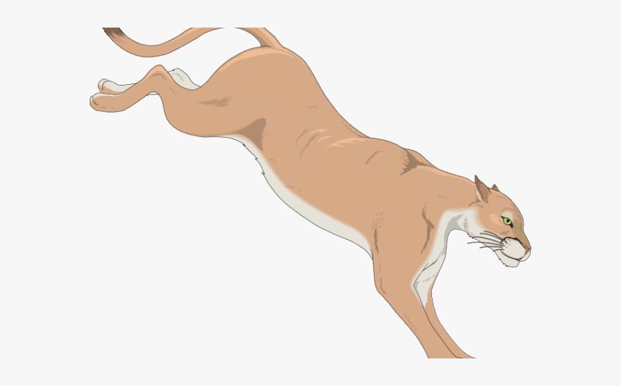 Transparent Fierce Lion Clipart - Cougar Clip Art, Transparent Clipart