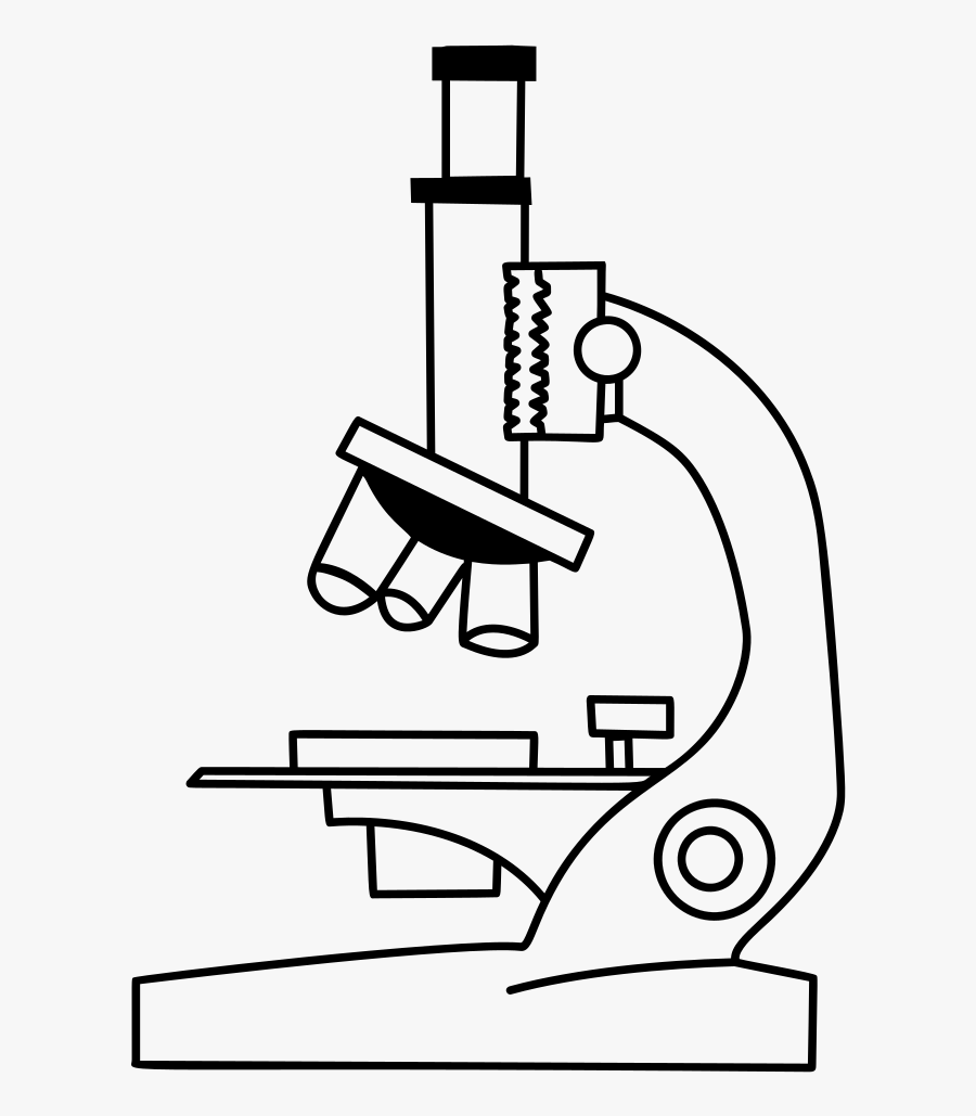 Collection Of Free Microscopes - Compound Light Microscope Clipart, Transparent Clipart