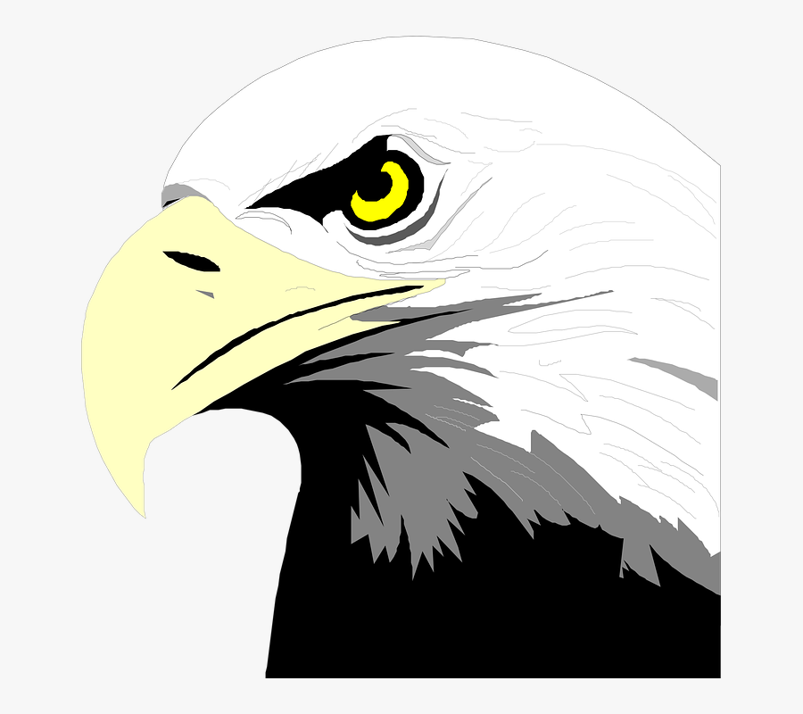 Eagle Head Clip Art Png, Transparent Clipart