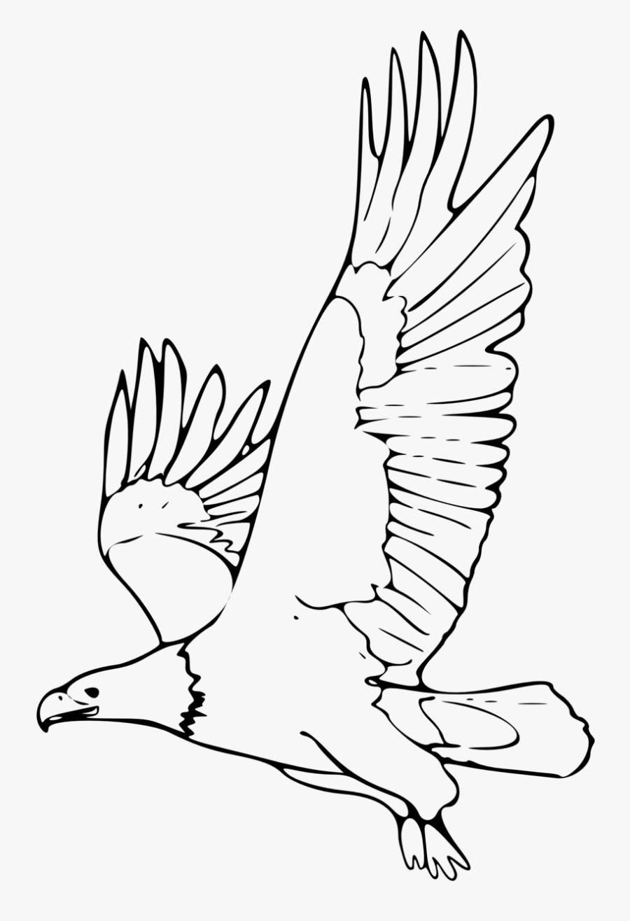 Coloring Book Bald Eagle 2 Remix - Dibujos De Animales En Peligro De Extinción, Transparent Clipart