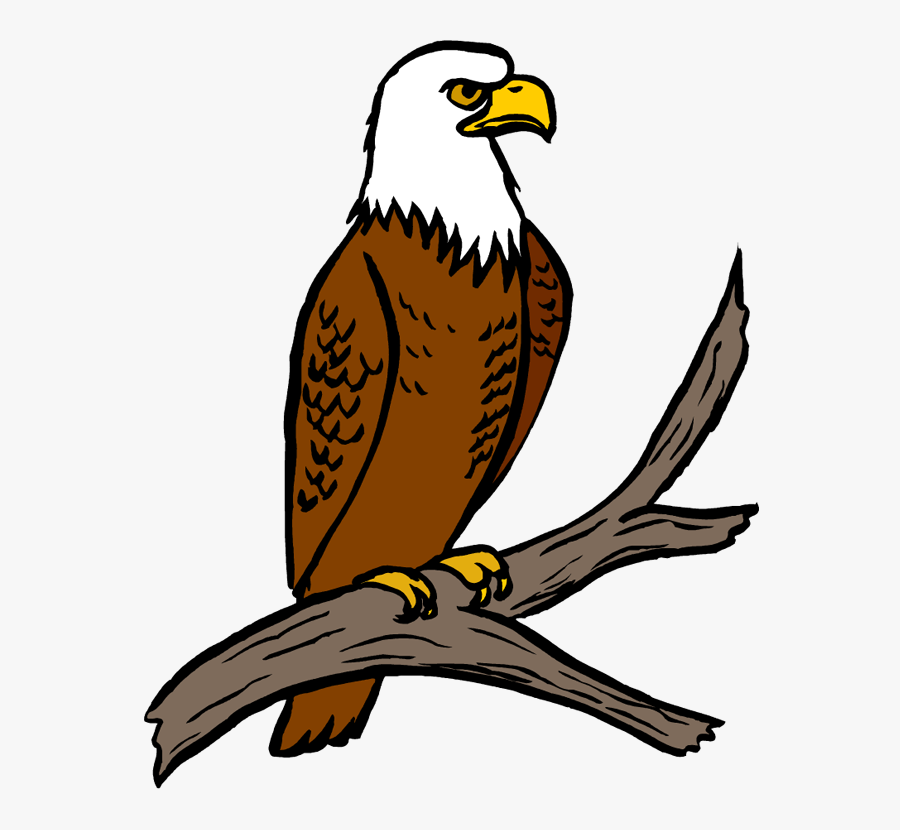 Free Eagle Clipart Eagle Feather Clipart At Getdrawings - Eagle Clipart, Transparent Clipart