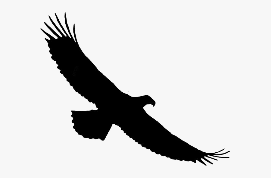 Transparent Bald Eagle Flying Clipart, Bald Eagle Flying - Silhouette Aigle, Transparent Clipart