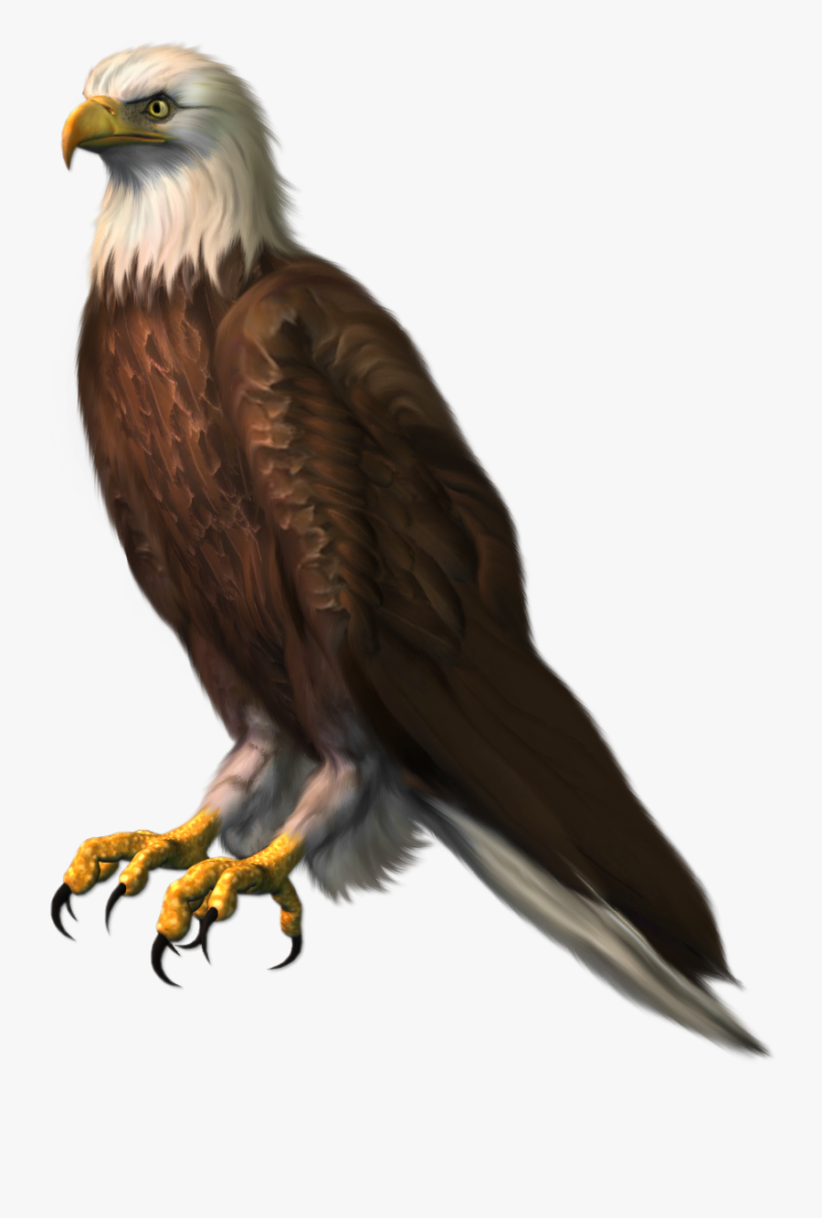 Bald Eagle Clip Art - Bald Eagle Png, Transparent Clipart