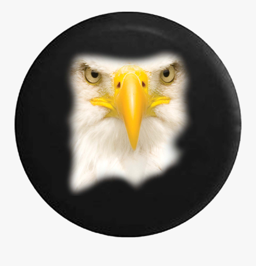 Transparent Patriotic Bald Eagle Clipart - Bald Eagle, Transparent Clipart