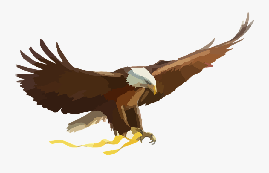 Eagle Clipart Bird - Philippine Eagle Flying Vector, Transparent Clipart