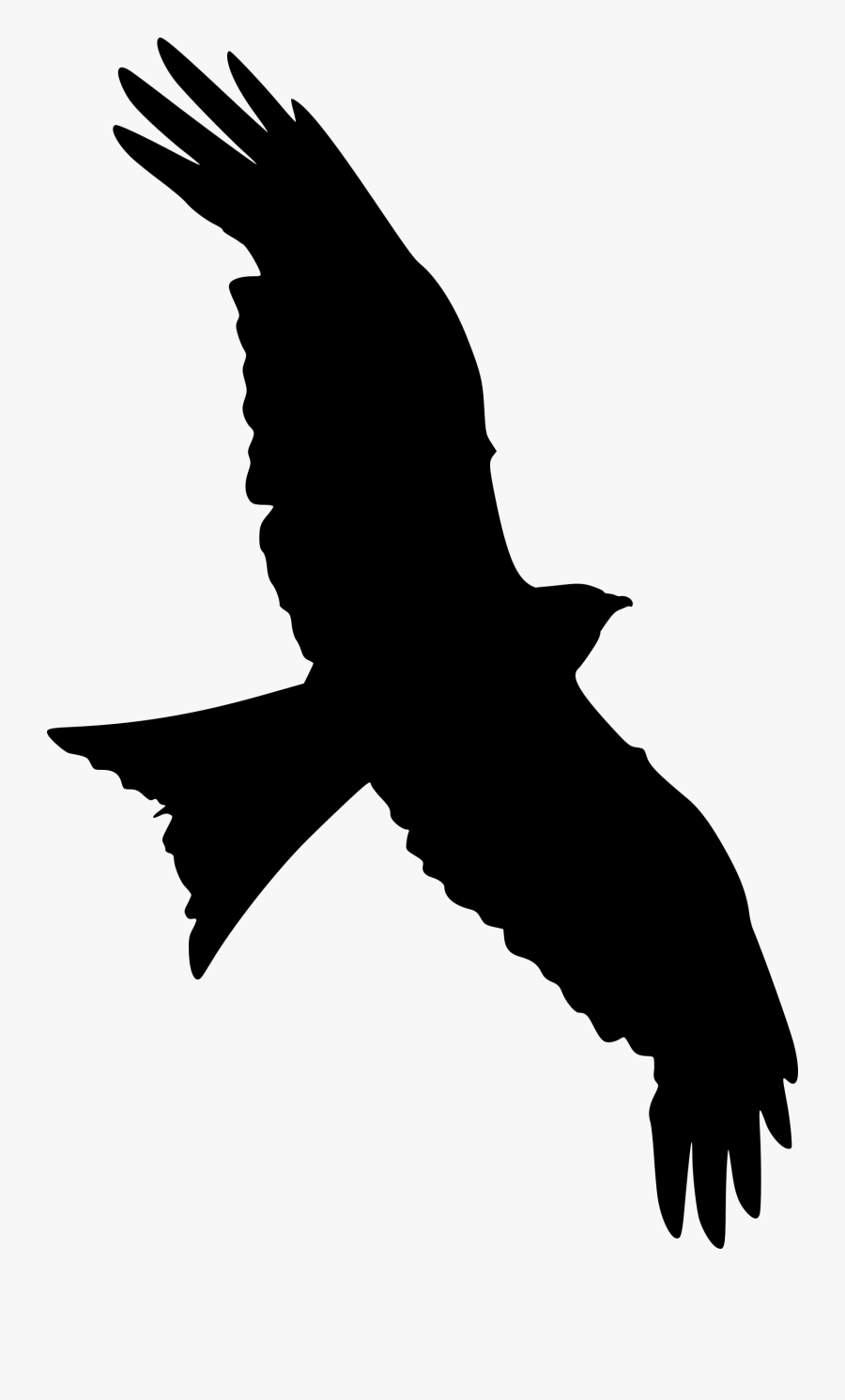 Transparent Bird Clipart - Transparent Falcon Flying Silhouette, Transparent Clipart