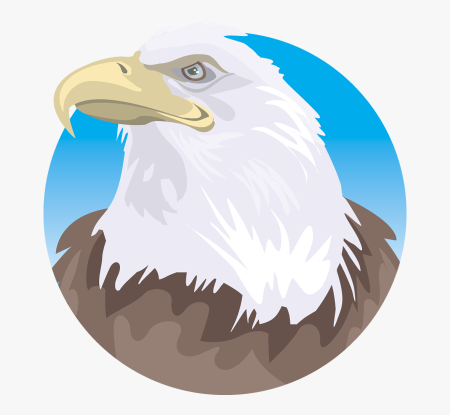 Bald Eagle, Transparent Clipart