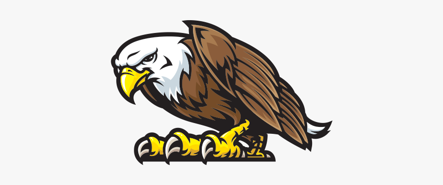 Clip Art Bald Eagle Decal - Bald Eagle, Transparent Clipart