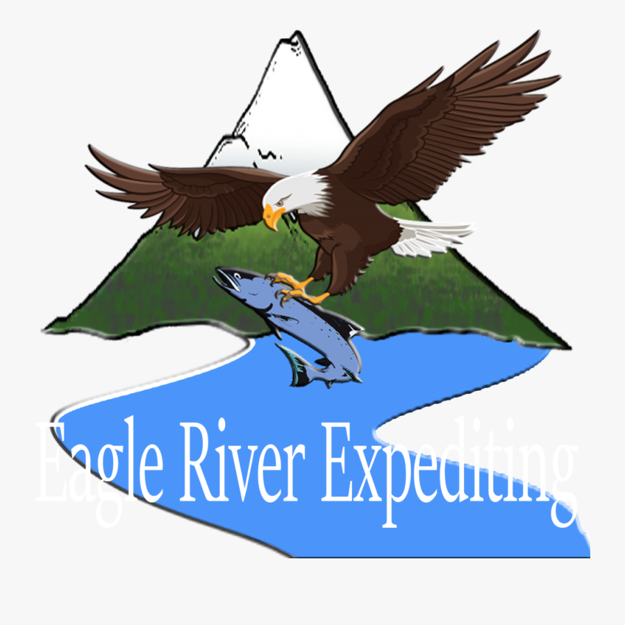 Bald Eagle, Transparent Clipart