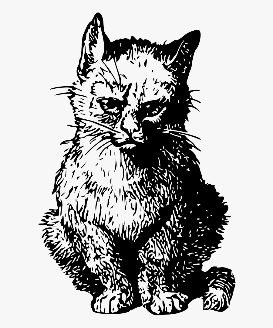 Art,wild Cat,carnivoran - Public Domain Victorian Engravings, Transparent Clipart