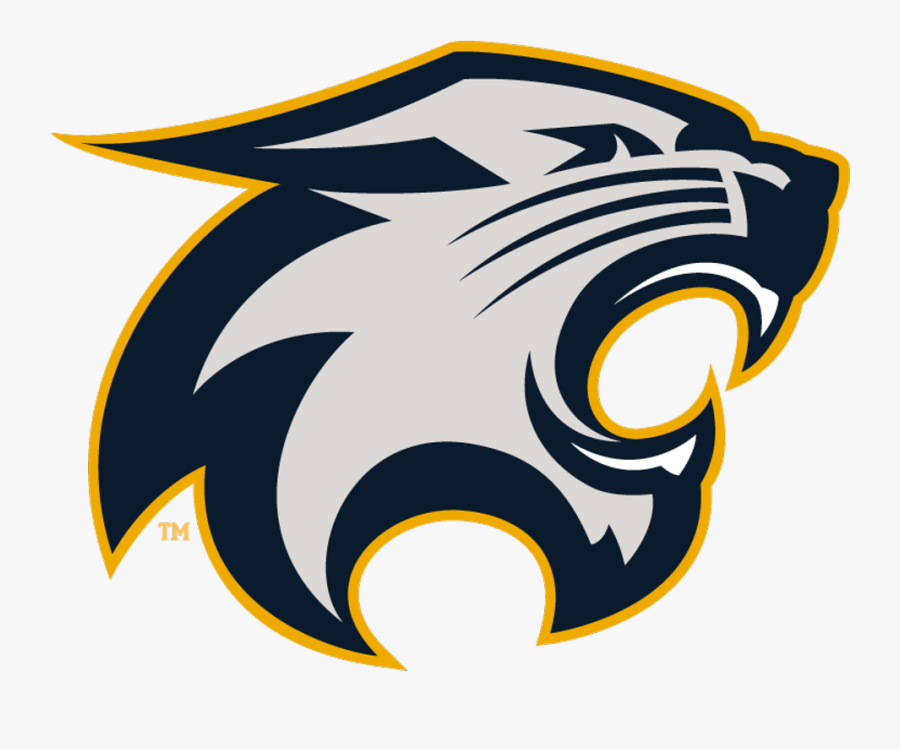 Wildcats Basketball Clipart - River Falls High School Wildcats, Transparent Clipart
