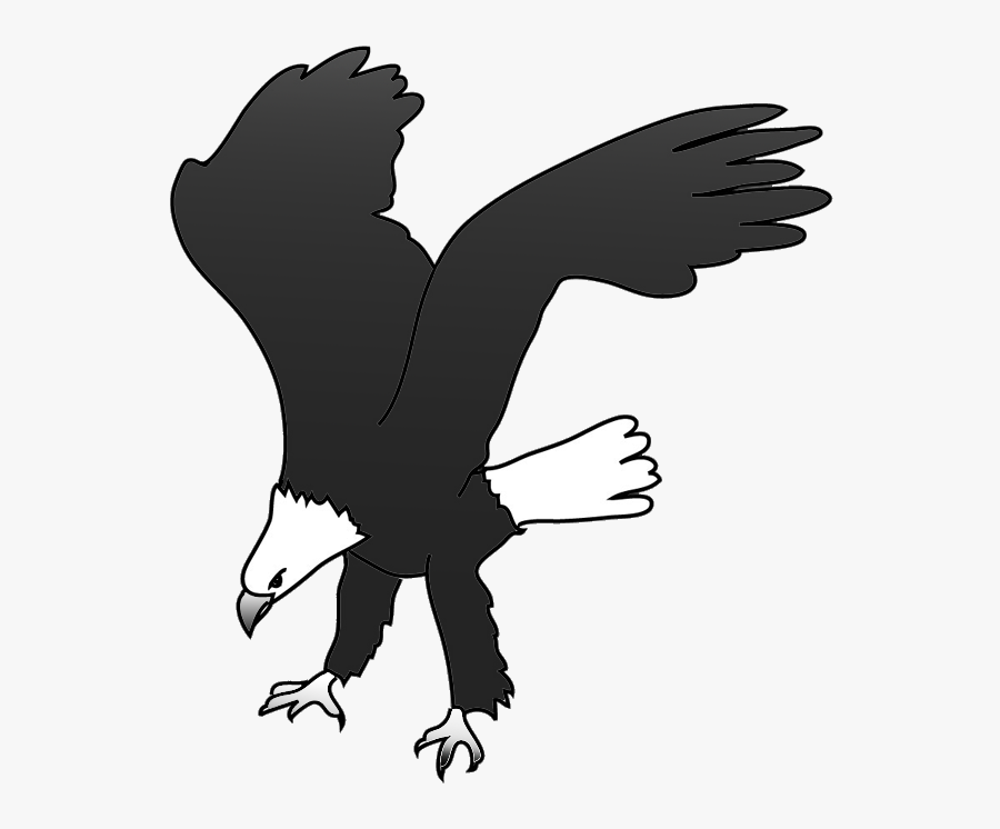Bald Eagle Drawing Landing For Prey - New Eagle Landing Clipart, Transparent Clipart