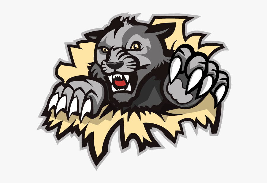 Wildcat Clipart West Shore - West Shore Wildcats Logo, Transparent Clipart