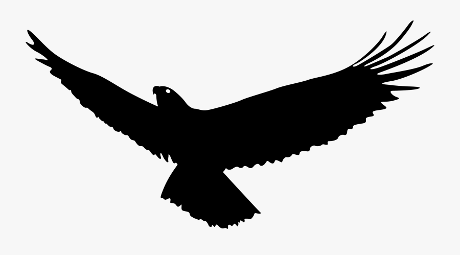Bald Eagle Bird Flight - Vector Eagle Silhouette Png, Transparent Clipart