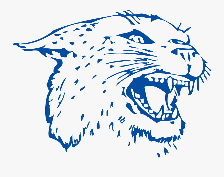 Transparent National Honor Society Png - Colton Wildcats, Transparent Clipart