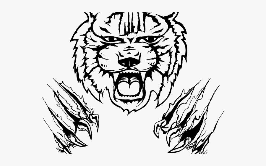 Black Wildcat Cliparts - Wildcat Drawing Step By Step, Transparent Clipart