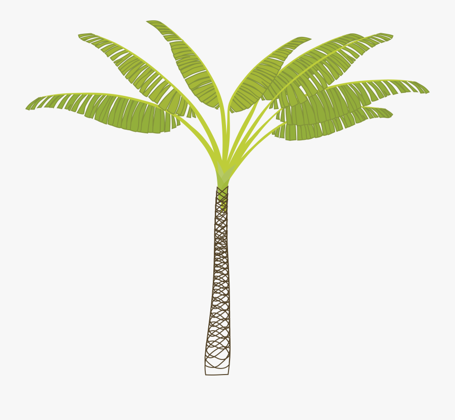 T Shaped Tree Clipart - Jungle Tree Vector Png, Transparent Clipart