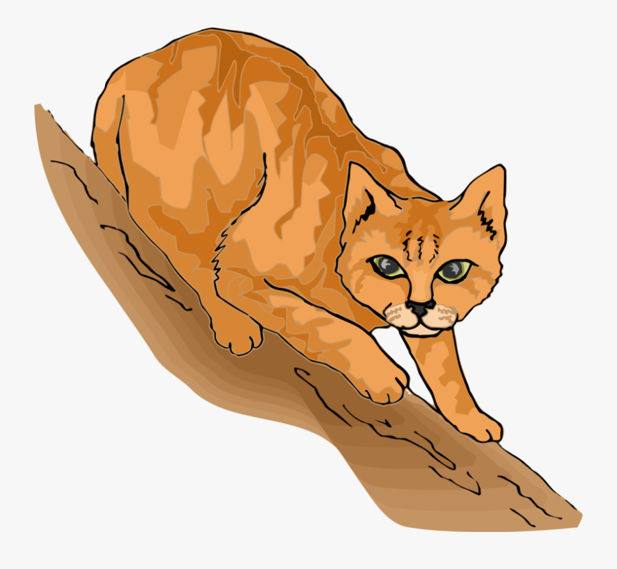 Wild Cat,carnivoran,lion - Cartoon Cat In Tree, Transparent Clipart