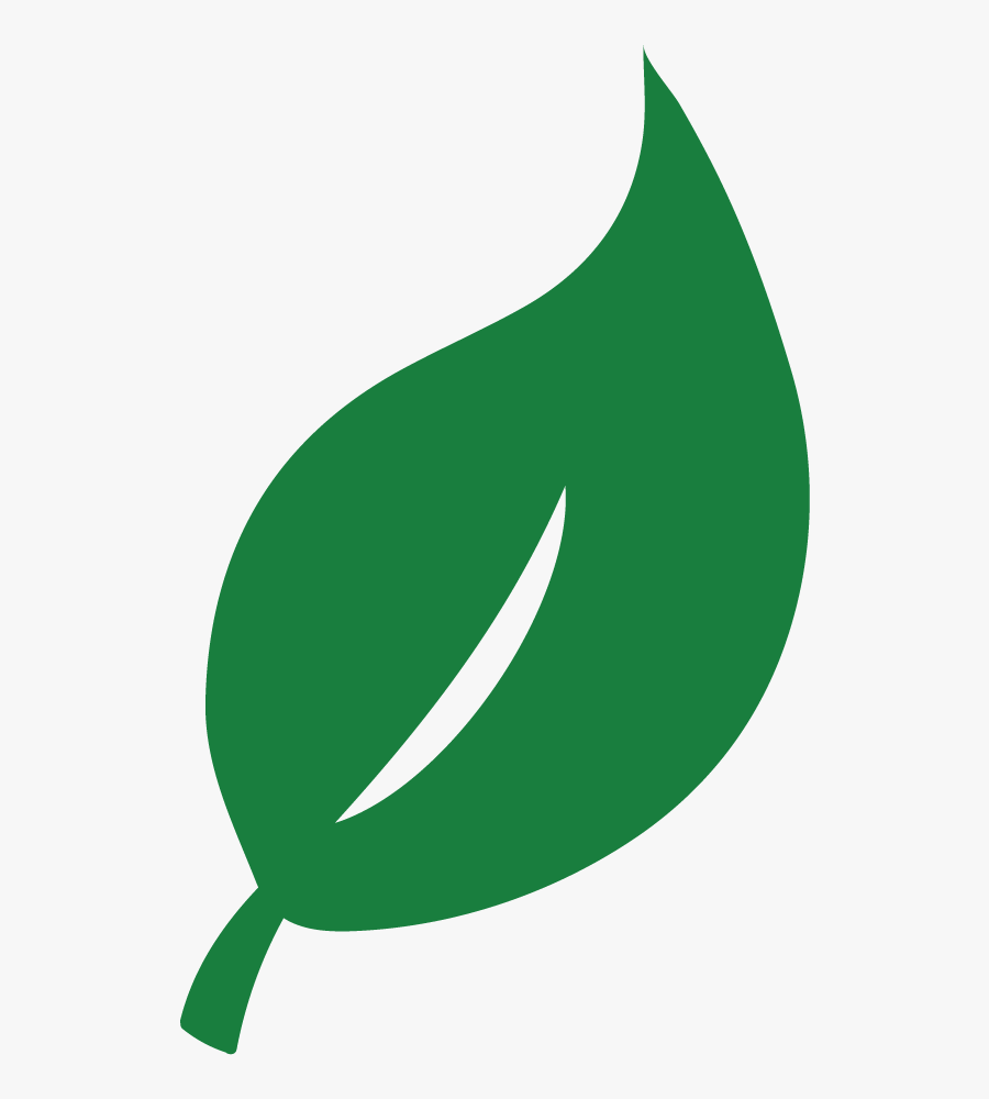 Prevent Damage To Your Property Through Wildcat Creek, Transparent Clipart