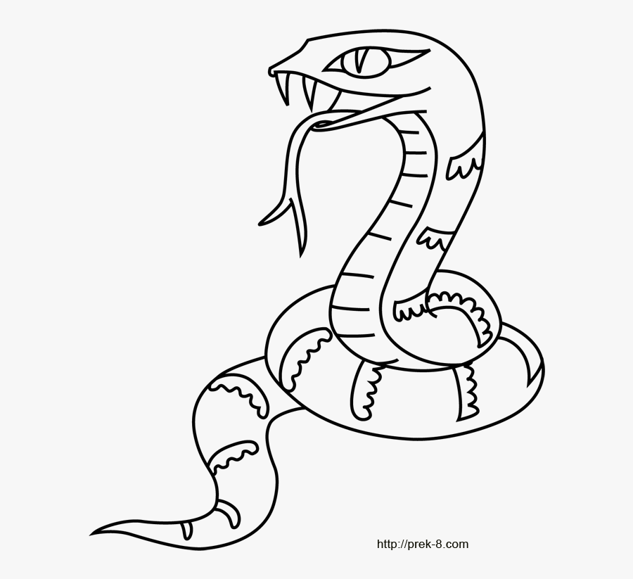 Clip Art Printable Animal Pictures Of Wild Animals - Drawing Of Jungle Animals, Transparent Clipart