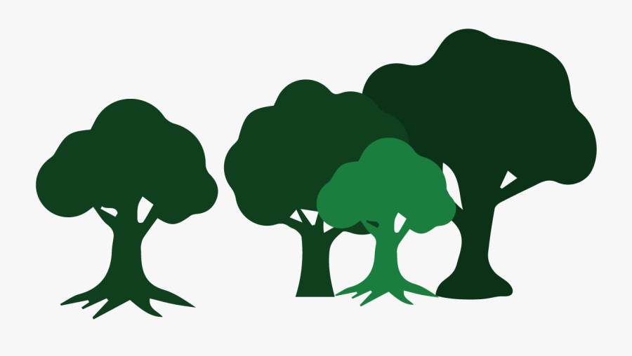 Wildcat Creek Tree Services Has The Skills To Assist, Transparent Clipart