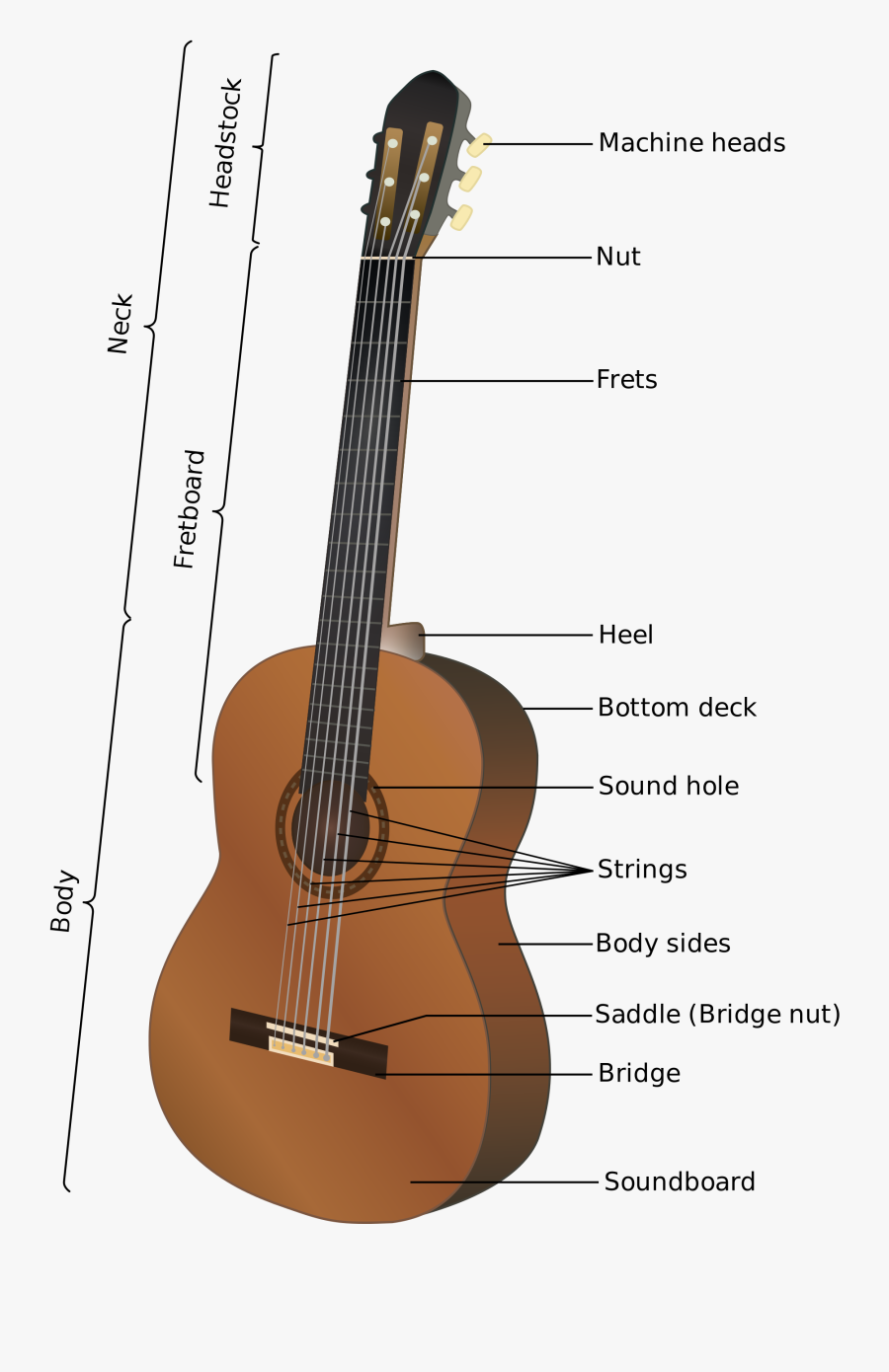 File - Acoustic Guitar-en - Svg - Guitar Parts In French - Parts Of A Classical Guitar, Transparent Clipart