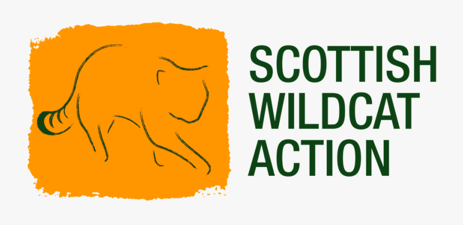 Scottish Wildcat Action - Scottish Wildcat Action Logo, Transparent Clipart