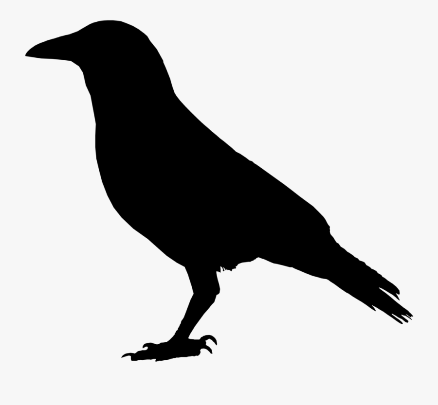 Primitive Crow Clipart Wikiclipart - Black Raven Clip Art, Transparent Clipart