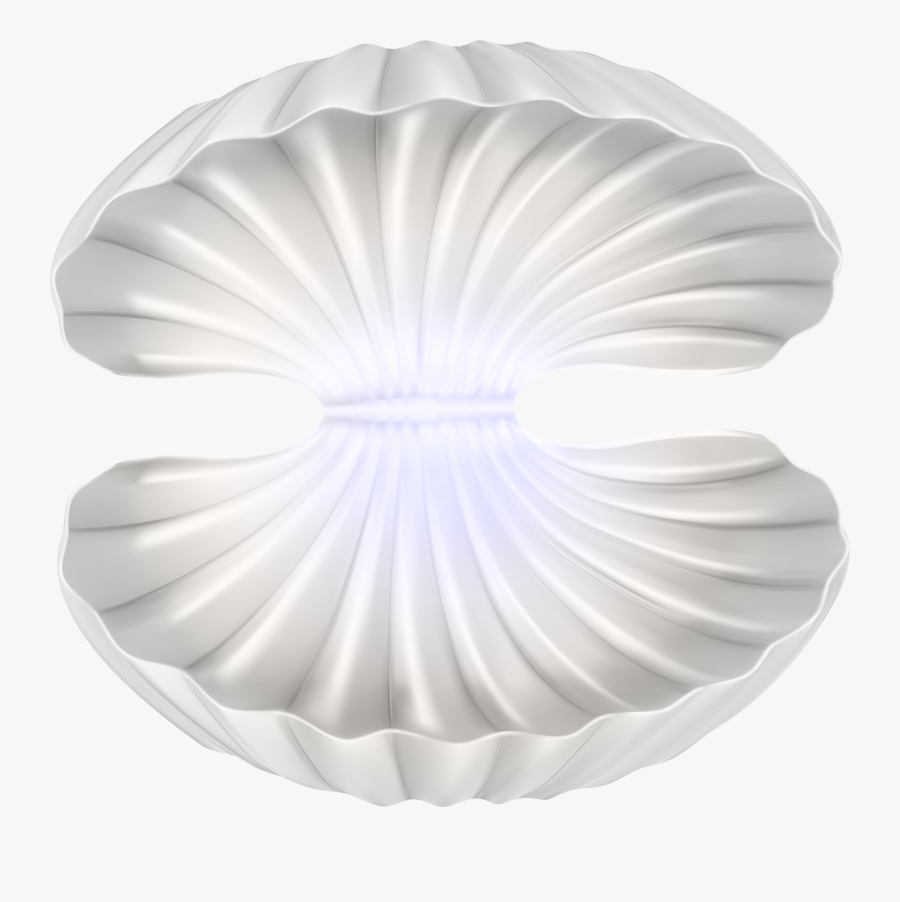 Transparent Pressure Washer Clipart - Shell Images Transparent Background, Transparent Clipart