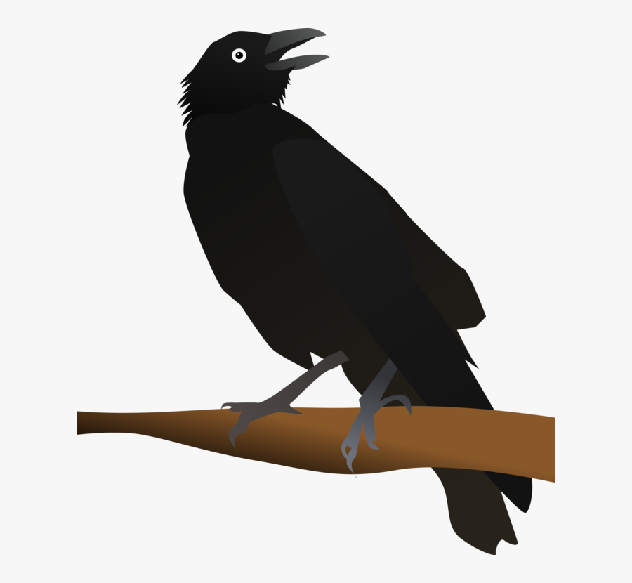 Crow Like Bird,new Caledonian Crow,american Crow - Clip Art Image Of