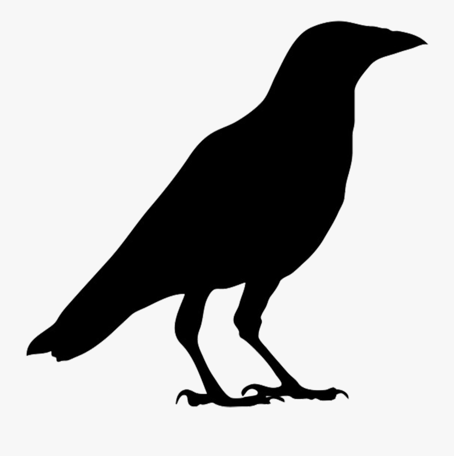 Outline Picture Of Crow, Transparent Clipart