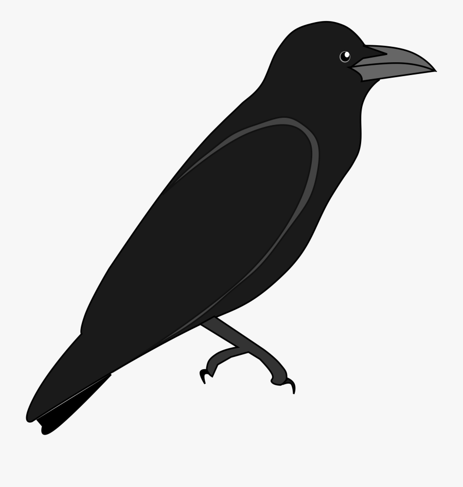 Clip Art Outline Images Of Crow - Outline Pic Of Crow, Transparent Clipart