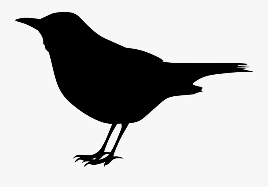 Crow Clipart Black Bird - Silhouette Drawing Of Animals, Transparent Clipart