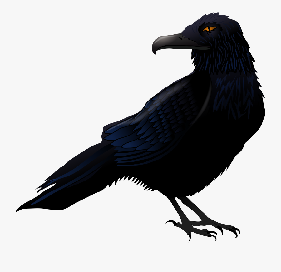 Haunted Raven Png Vector Clipart - Raven Clipart, Transparent Clipart