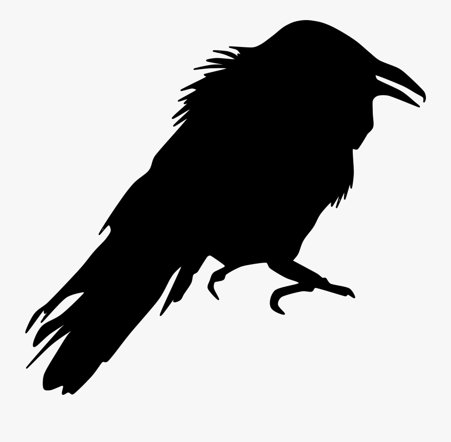 Crow Like Bird,wildlife,silhouette - Crow Silhouette Clip Art, Transparent Clipart