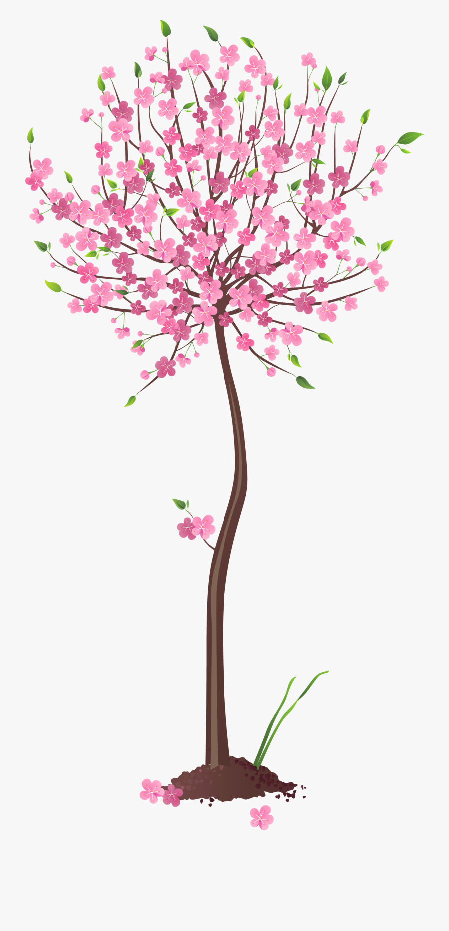 Spring Clipart Pink, Transparent Clipart