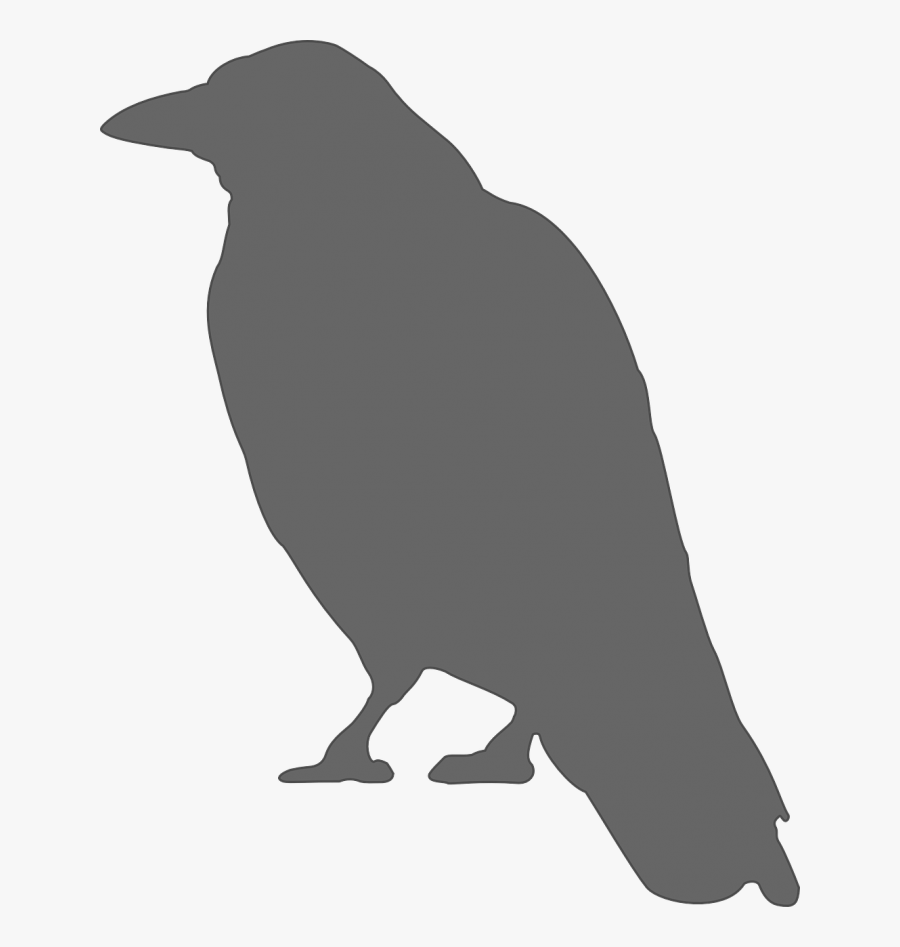 Free Vector Graphic - Crow Silhouette, Transparent Clipart