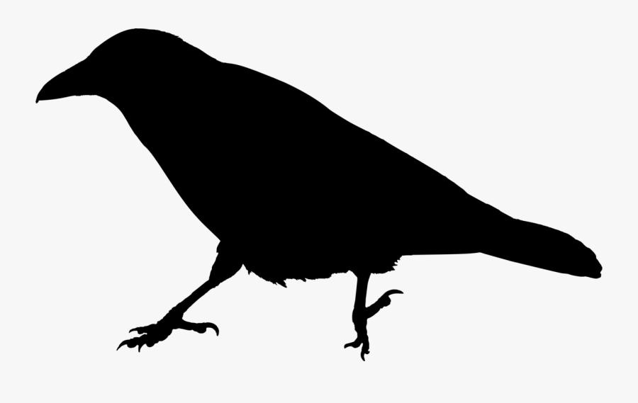 Clip Art Raven Silhouette, Transparent Clipart