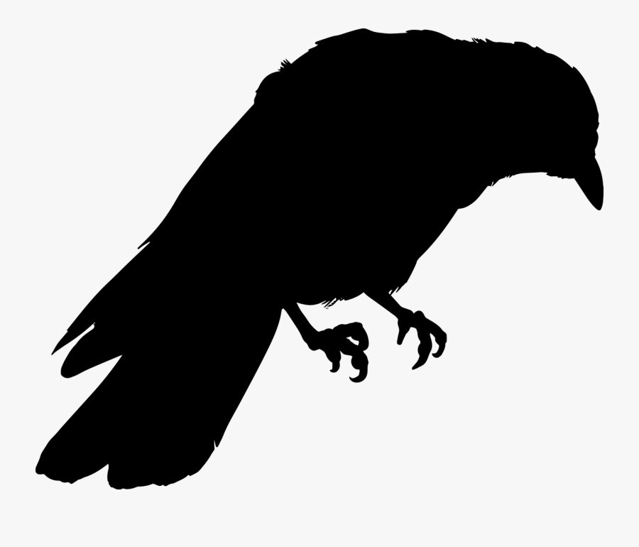 Bird,claw,line Art,perching Bird,clip - Crows Drawing, Transparent Clipart