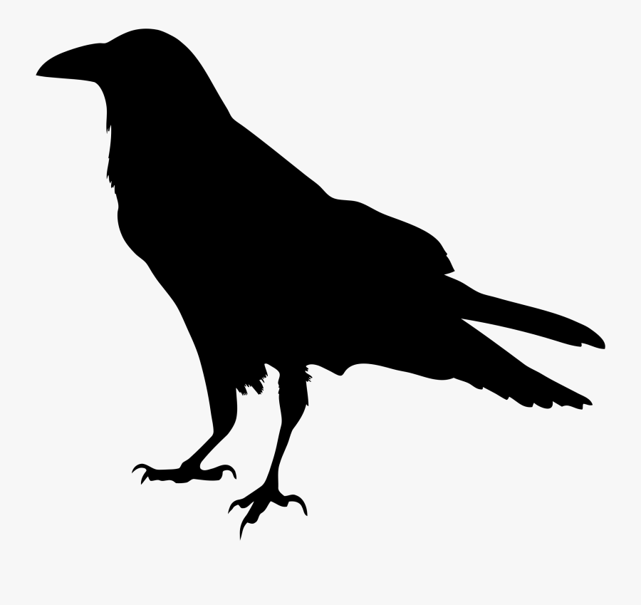 Raven Silhouette, Transparent Clipart