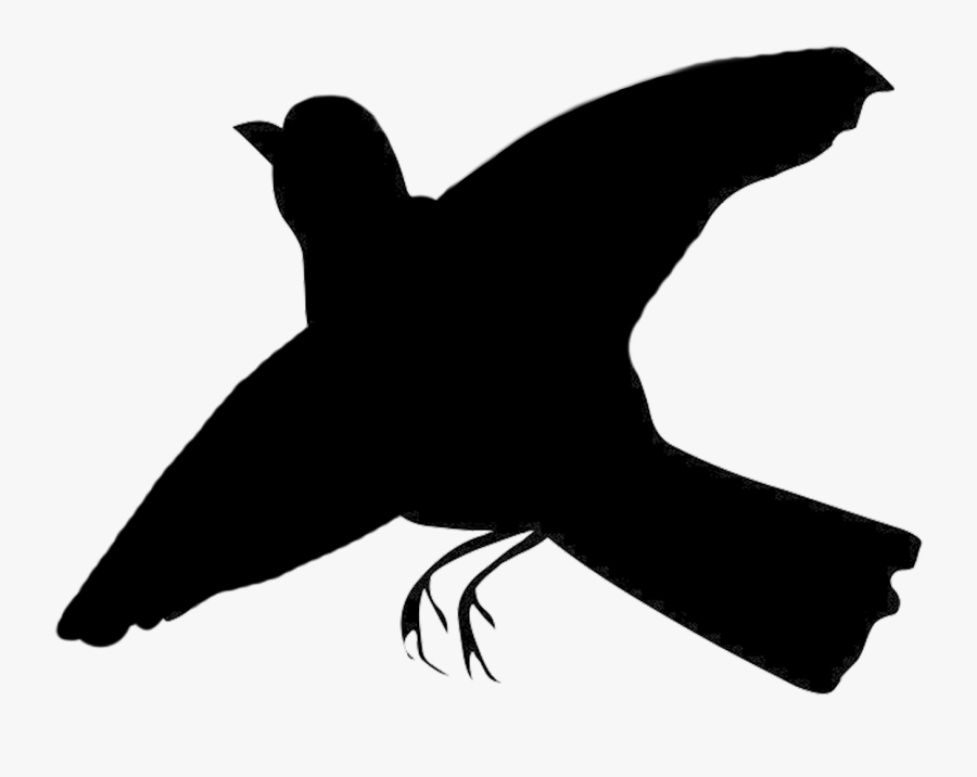 Bird Silhouettes - Robin Bird Flying Silhouette, Transparent Clipart