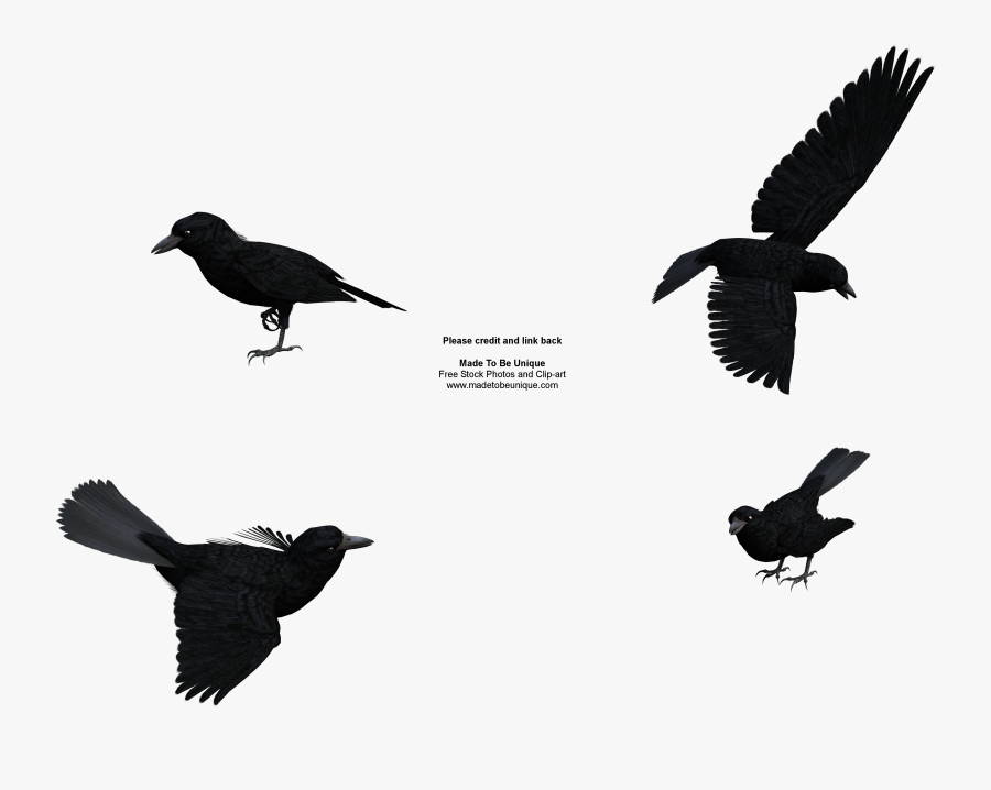 Free Stock Clipart - Clip Art, Transparent Clipart