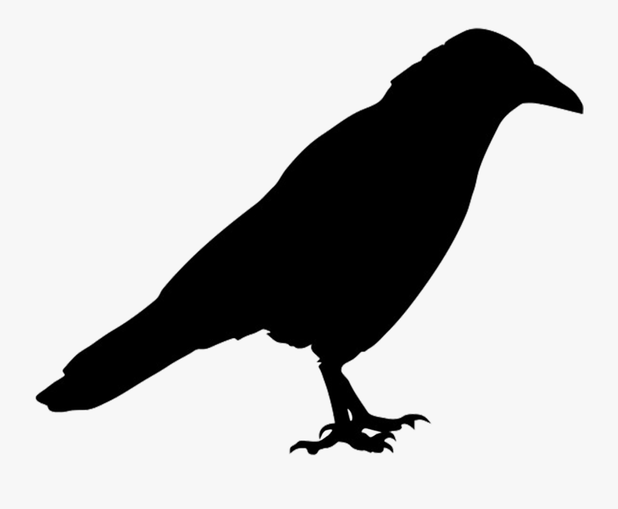 Raven Silhouette Png, Transparent Clipart