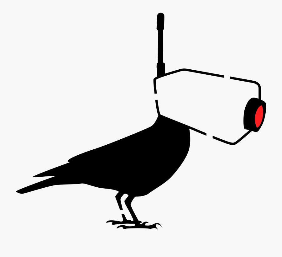 Crow, Orwellian, Security Camera, Antenna, Big Brother, - Buzzard, Transparent Clipart