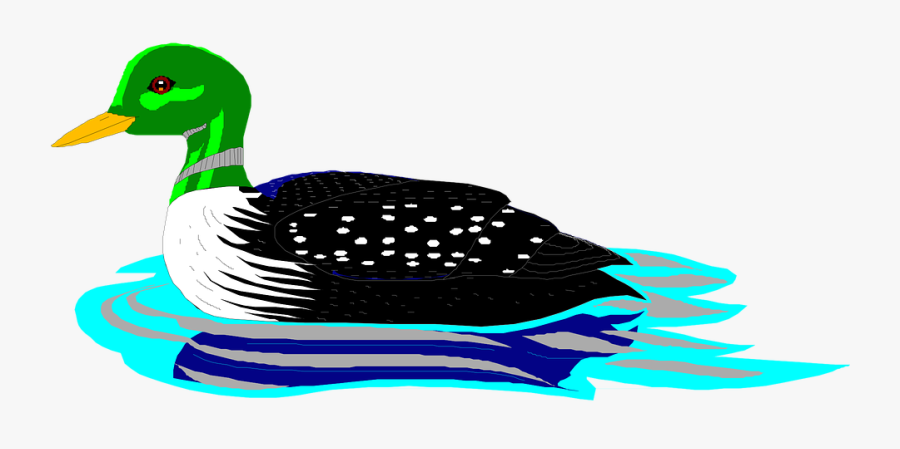 Water, Bird, Swimming, Wings, Loon, Feathers, Species - Cartoon Loon, Transparent Clipart