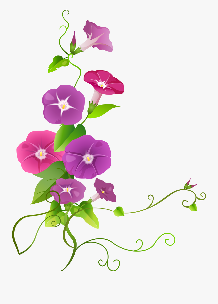 Flower Art Clipart At Getdrawings - Ipomoea Png, Transparent Clipart