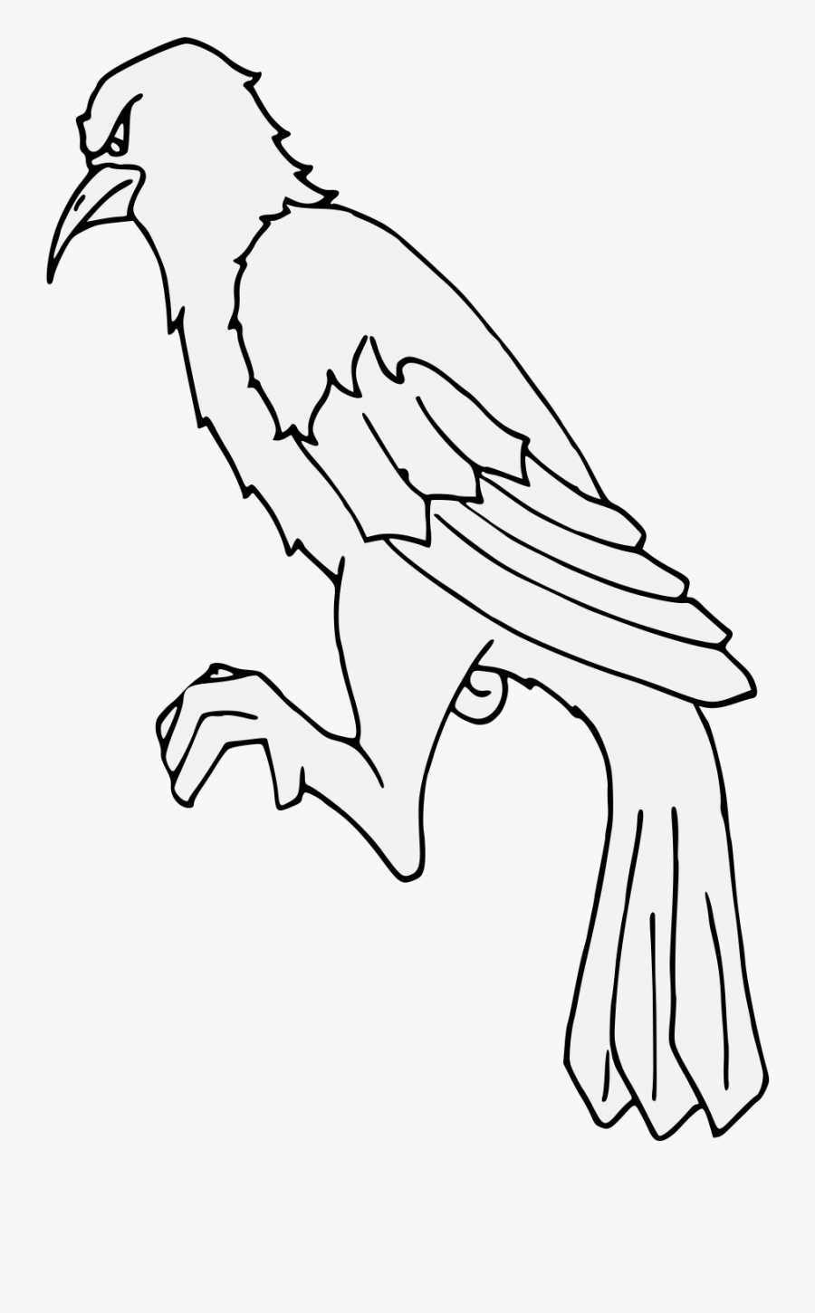 Accipitridae, Transparent Clipart