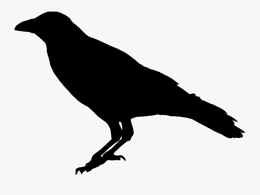 Raven Transparent, Transparent Clipart